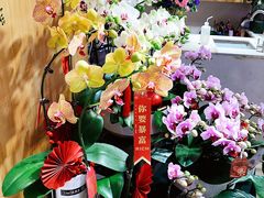 -谷莠子花艺气球派对·绿植造景·花艺沙龙(东海缤纷天地店)