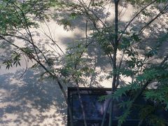 -颐和路民国时期公馆-风貌区