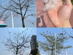 -万科·金域蓝湾