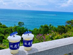 -广东惠东海龟国家级自然保护区