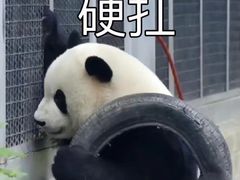 -老板恋上鱼(振华商厦店)