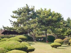 -日照灯塔风景区