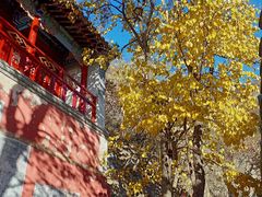 -圣莲山风景区