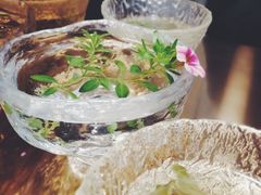 -茶是一枝花泡茶店