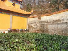 -宝通禅寺