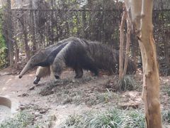 -常州淹城野生动物世界