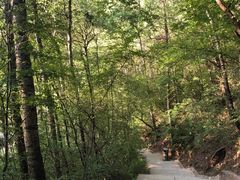 -仁寿山