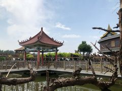 -呀路古热带植物园-恐龙馆
