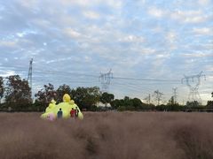 -嘉北郊野公园