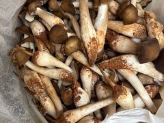 -七采菌园·野生菌石锅鱼(环城北路店)