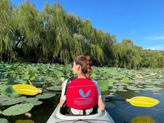 -WhaleSports户外水上运动俱乐部(朝阳公园店)