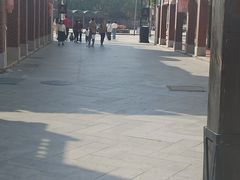 -厦门园林博览苑