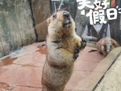 -杭州海底世界