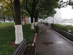 -西北湖绿化广场