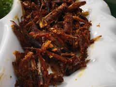 -山菌美食苑(振兴路店)