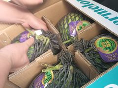 -西郊国际农产品交易中心