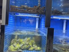 -金龙·打边炉(武进路店)