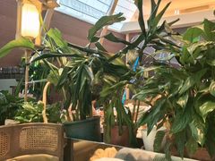 -桂满陇·杭州饭店(清河万象店)