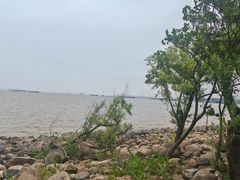 -吴淞炮台湾湿地森林公园烧烤区