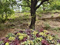 -潭柘厚院(桑峪村店)