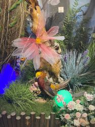 -酷嗒动物文化乐园(cutezoo西溪乐天城店)