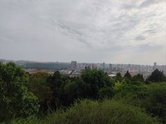 -富乐山