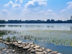 -东湖落雁景区