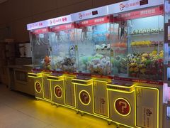 -海底捞火锅(雄峰城店)