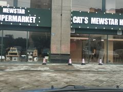 -CAT’S MEWSTAR CAFE·喵星球猫屋(晴湾咖啡店)