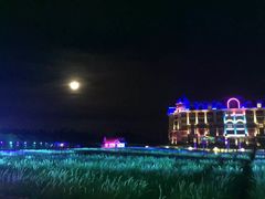 -广州花之恋城堡酒店