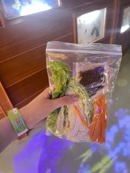 -酷嗒动物文化乐园(cutezoo西溪乐天城店)