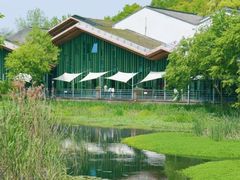 -西湖风景区-江洋畈生态公园