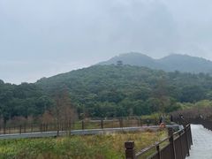 -清溪大王山森林公园
