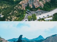 -西霞口神雕山野生动物世界