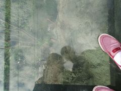 -雁荡山风景名胜区-小龙湫