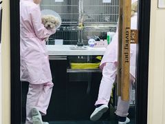 -宠爱国际动物医院·疑难骨科·心肾内科·皮肤科(太阳宫店)