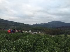 -塔川景区