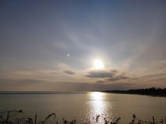 -贡湖湾湿地公园