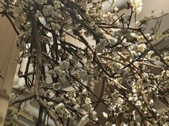 -梅花境(万科店)