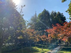 -后襄河公园
