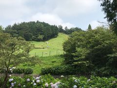 -神户市立六甲山牧场