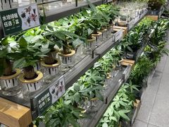 -鹿岛生活(熙地港店)