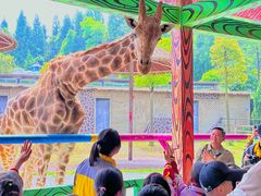-贵州森林野生动物园
