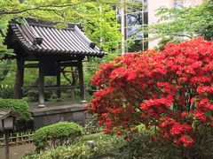 -新高轮格兰王子大酒店