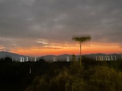 -三亚海棠湾喜来登度假酒店