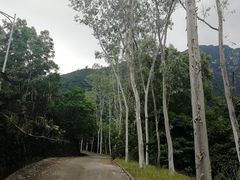 -汕尾莲花山温泉度假村