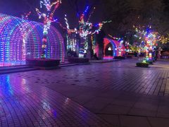 -秋水广场音乐喷泉