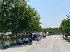 -上海山野camping·户外天幕烧烤·团建拓展营地