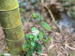 -高老庄·老溧阳·私房菜(南山竹海店)