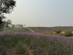-密云玫瑰情园